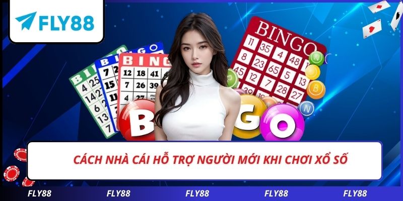 Cách nhà cái hỗ trợ người mới khi chơi xổ số
