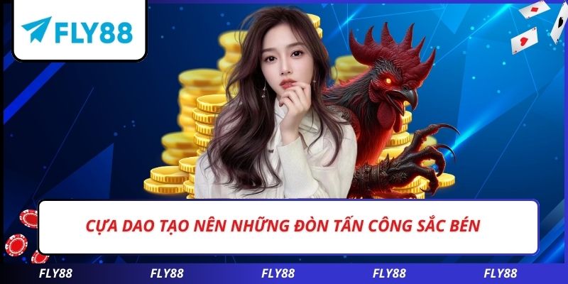 Cựa dao tạo nên những đòn tấn công sắc bén