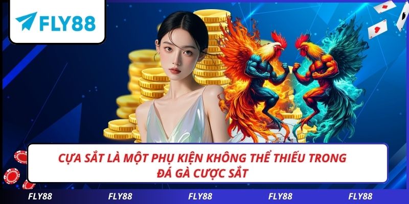 Cựa sắt là một phụ kiện không thể thiếu trong đá gà cược sắt