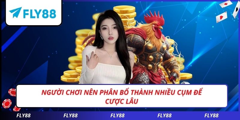 Người chơi nên phân bổ thành nhiều cụm để cược lâu