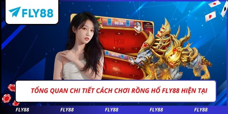 Tổng quan chi tiết cách chơi rồng hổ FLY88 hiện tại