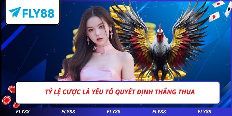 Tỷ lệ cược là yếu tố quyết định thắng thua