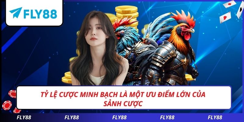 Tỷ lệ cược minh bạch là một ưu điểm lớn của sảnh cược